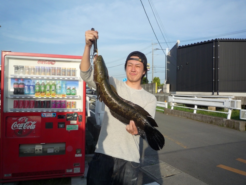 f:id:yukikawakubo0629:20110506135042j:image