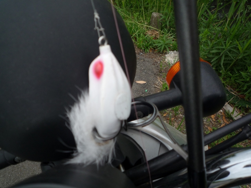 f:id:yukikawakubo0629:20110509151048j:image