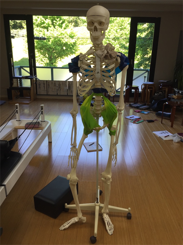f:id:yukiko-pilates:20160529175924j:image f:id:yukiko-pilates:20160529175924j:image