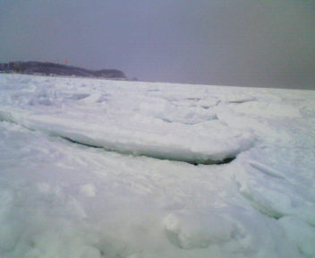 f:id:yukiko345:20080127143100j:image