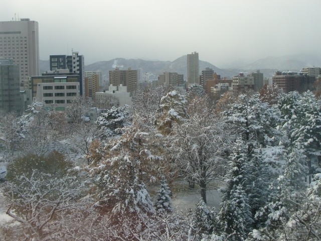 f:id:yukiko345:20081120124820j:image:w200 f:id:yukiko345:20081120124820j:image:w200