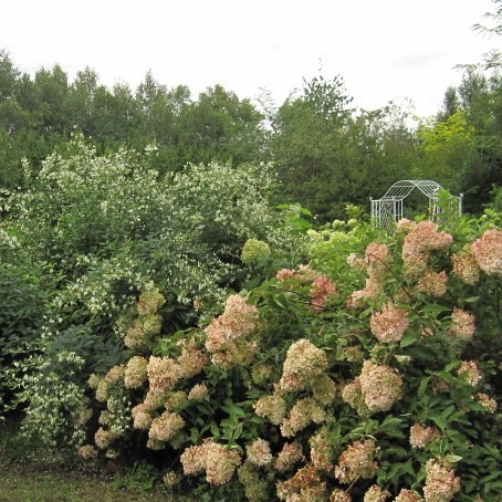 f:id:yukiko345:20100923150240j:image:w300