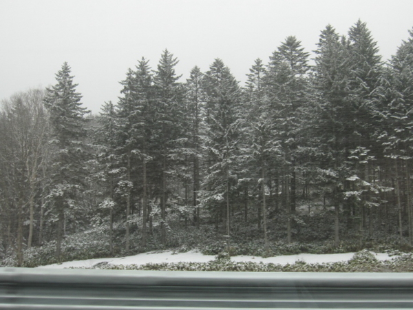 f:id:yukiko345:20110504114436j:image:w360 f:id:yukiko345:20110504114436j:image:w360