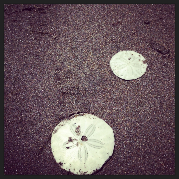 f:id:yukiko345:20130612161131j:image:w300 f:id:yukiko345:20130612161131j:image:w300