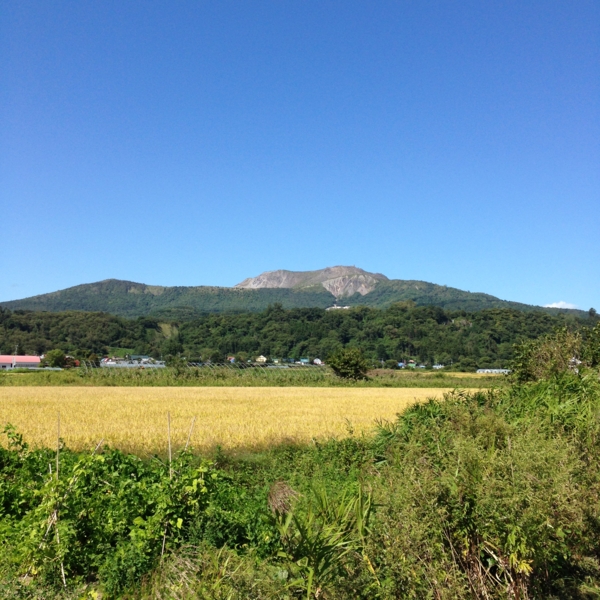 f:id:yukiko345:20140913192502j:image:w300