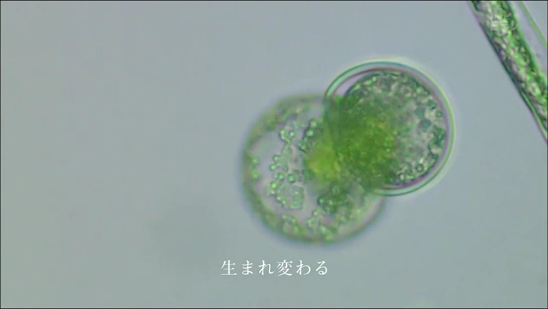f:id:yukimaroman000:20130522144142j:plain f:id:yukimaroman000:20130522144142j:plain