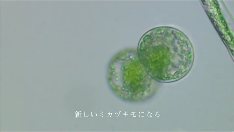f:id:yukimaroman000:20130522144143j:plain f:id:yukimaroman000:20130522144143j:plain