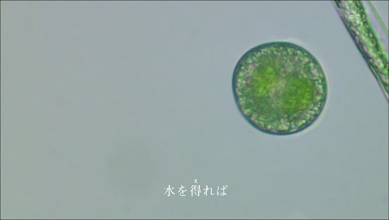 f:id:yukimaroman000:20130522144144j:plain f:id:yukimaroman000:20130522144144j:plain