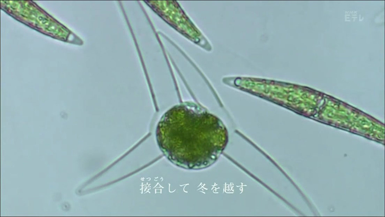 f:id:yukimaroman000:20130522144145j:plain f:id:yukimaroman000:20130522144145j:plain