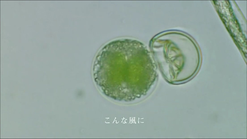 f:id:yukimaroman000:20130522144147j:plain f:id:yukimaroman000:20130522144147j:plain