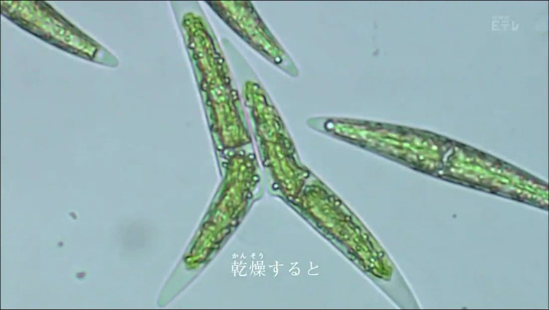 f:id:yukimaroman000:20130522144319j:plain f:id:yukimaroman000:20130522144319j:plain