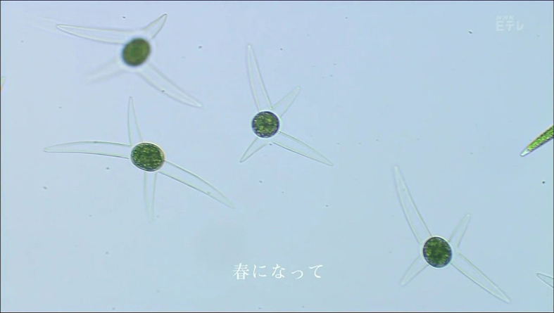 f:id:yukimaroman000:20130522144409j:plain f:id:yukimaroman000:20130522144409j:plain