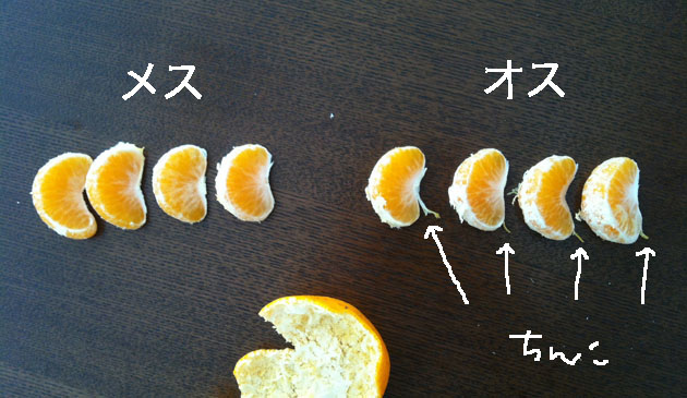 f:id:yukimaroman000:20140106140646j:plain