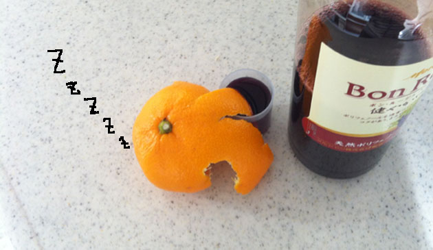 f:id:yukimaroman000:20140106141759j:plain