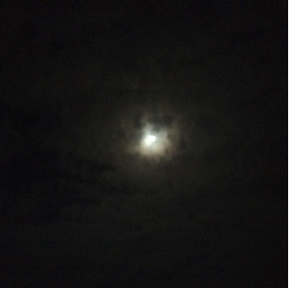 f:id:yukiyutin:20140913120214j:plain f:id:yukiyutin:20140913120214j:plain