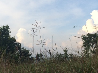 f:id:yukiyutin:20141005220405j:plain f:id:yukiyutin:20141005220405j:plain