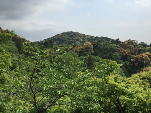 f:id:yukkykitaj:20160610002547j:image f:id:yukkykitaj:20160610002547j:image