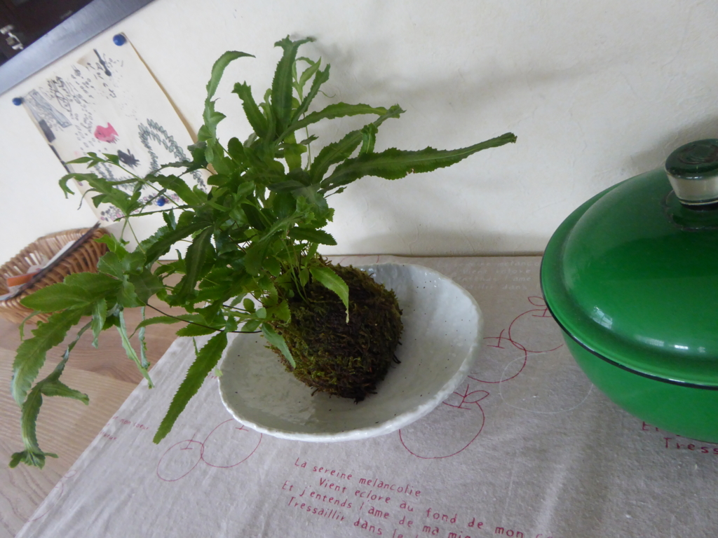 f:id:yukobee:20150730154844j:plain f:id:yukobee:20150730154844j:plain