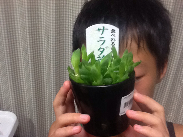 f:id:yukong:20130914212007j:plain f:id:yukong:20130914212007j:plain