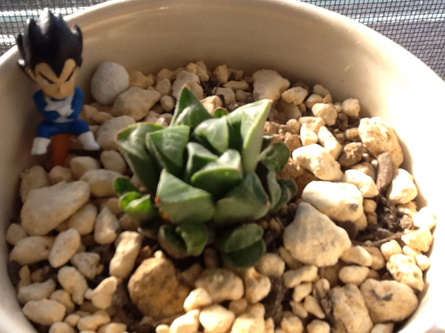 f:id:yukong:20131116223142j:plain f:id:yukong:20131116223142j:plain