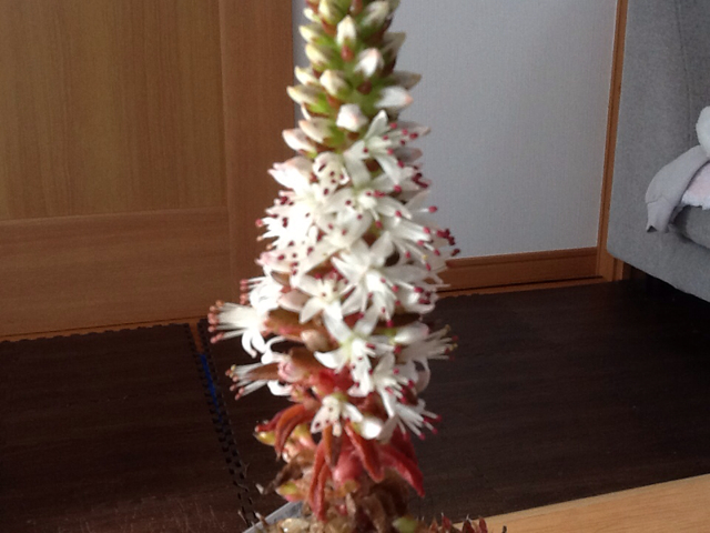 f:id:yukong:20140112230312j:plain f:id:yukong:20140112230312j:plain