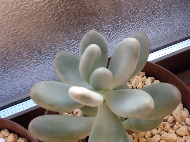 f:id:yukong:20140122230527j:plain f:id:yukong:20140122230527j:plain