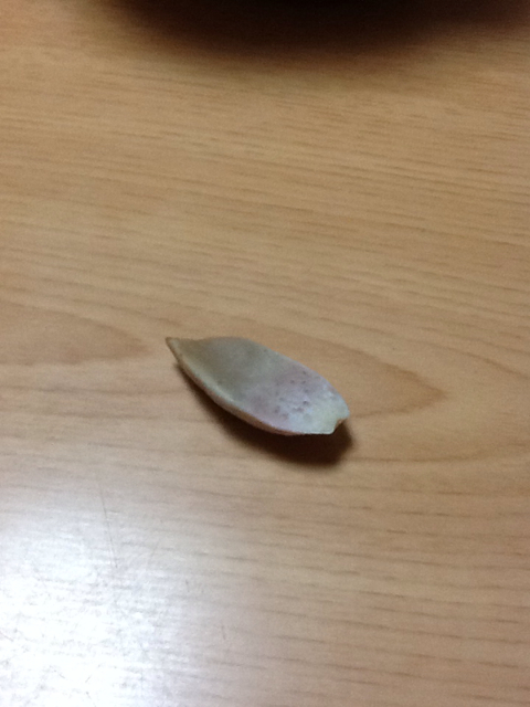 f:id:yukong:20140210004600j:plain f:id:yukong:20140210004600j:plain