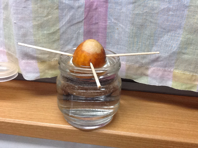 f:id:yukong:20140310130810j:plain f:id:yukong:20140310130810j:plain