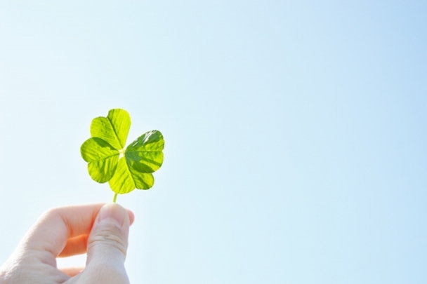 f:id:yume_hime:20150519232625j:plain f:id:yume_hime:20150519232625j:plain