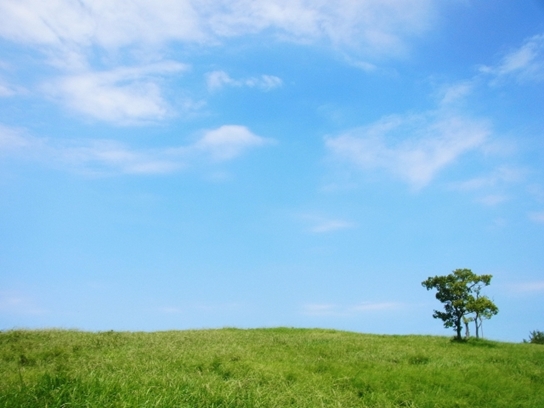 f:id:yume_hime:20151007000232j:plain f:id:yume_hime:20151007000232j:plain