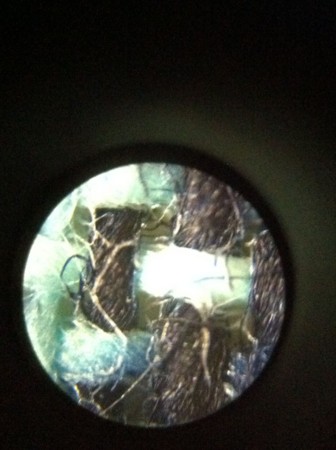 f:id:yumejitsugen1:20120617074558j:plain f:id:yumejitsugen1:20120617074558j:plain