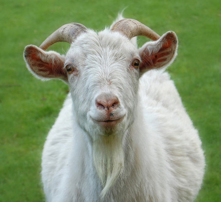 f:id:yumejitsugen1:20121117054255j:plain f:id:yumejitsugen1:20121117054255j:plain