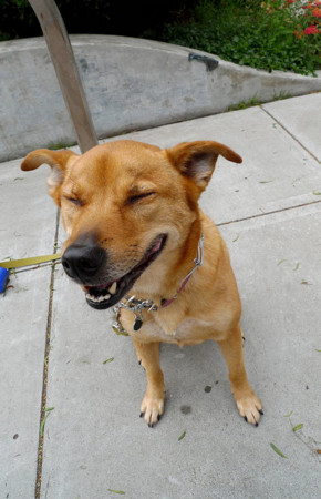 f:id:yumejitsugen1:20121117054415j:plain f:id:yumejitsugen1:20121117054415j:plain