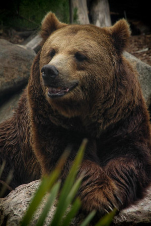 f:id:yumejitsugen1:20121117054739j:plain f:id:yumejitsugen1:20121117054739j:plain