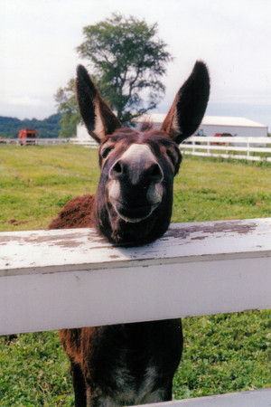 f:id:yumejitsugen1:20121117055426j:plain f:id:yumejitsugen1:20121117055426j:plain