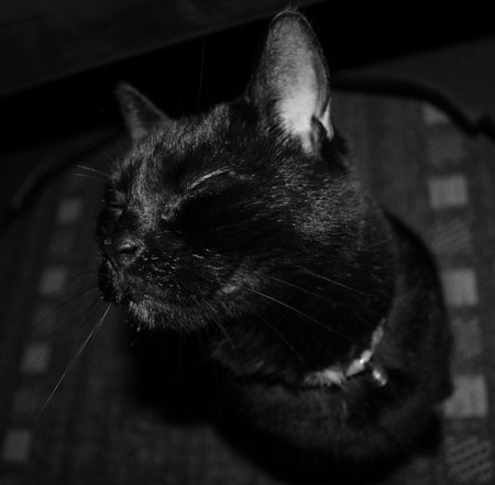 f:id:yumejitsugen1:20121117055623j:plain f:id:yumejitsugen1:20121117055623j:plain