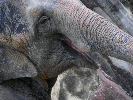 f:id:yumejitsugen1:20121117055852j:plain f:id:yumejitsugen1:20121117055852j:plain