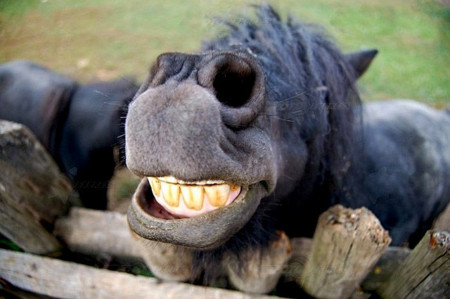 f:id:yumejitsugen1:20121117060539j:plain f:id:yumejitsugen1:20121117060539j:plain