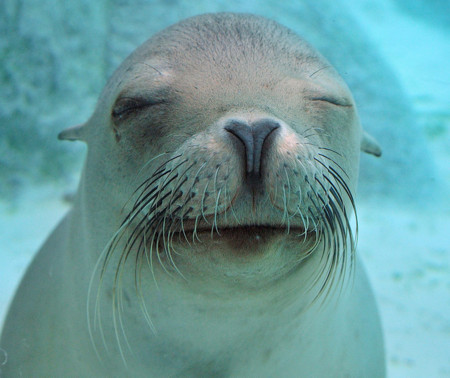 f:id:yumejitsugen1:20121117061758j:plain f:id:yumejitsugen1:20121117061758j:plain