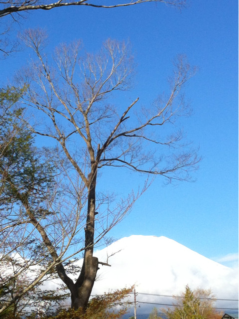 f:id:yumejitsugen1:20130503065628j:plain f:id:yumejitsugen1:20130503065628j:plain