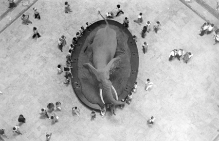 f:id:yumejitsugen1:20140504055657p:plain