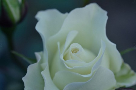 f:id:yumejitsugen1:20140507071740j:plain