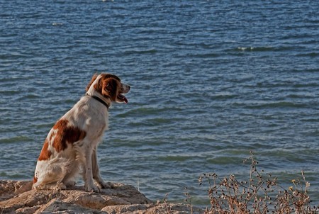 f:id:yumejitsugen1:20140508071556j:plain