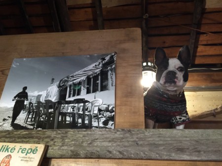 f:id:yumejitsugen1:20141108165422j:plain f:id:yumejitsugen1:20141108165422j:plain