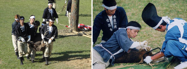 f:id:yumejitsugen1:20151012210758p:plain f:id:yumejitsugen1:20151012210758p:plain