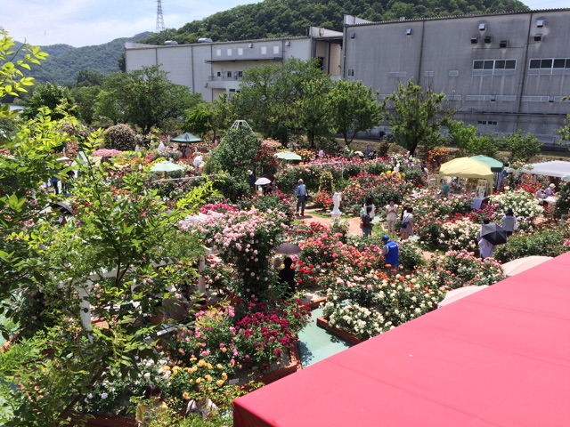 f:id:yumesakikomachi:20150517195622j:plain f:id:yumesakikomachi:20150517195622j:plain