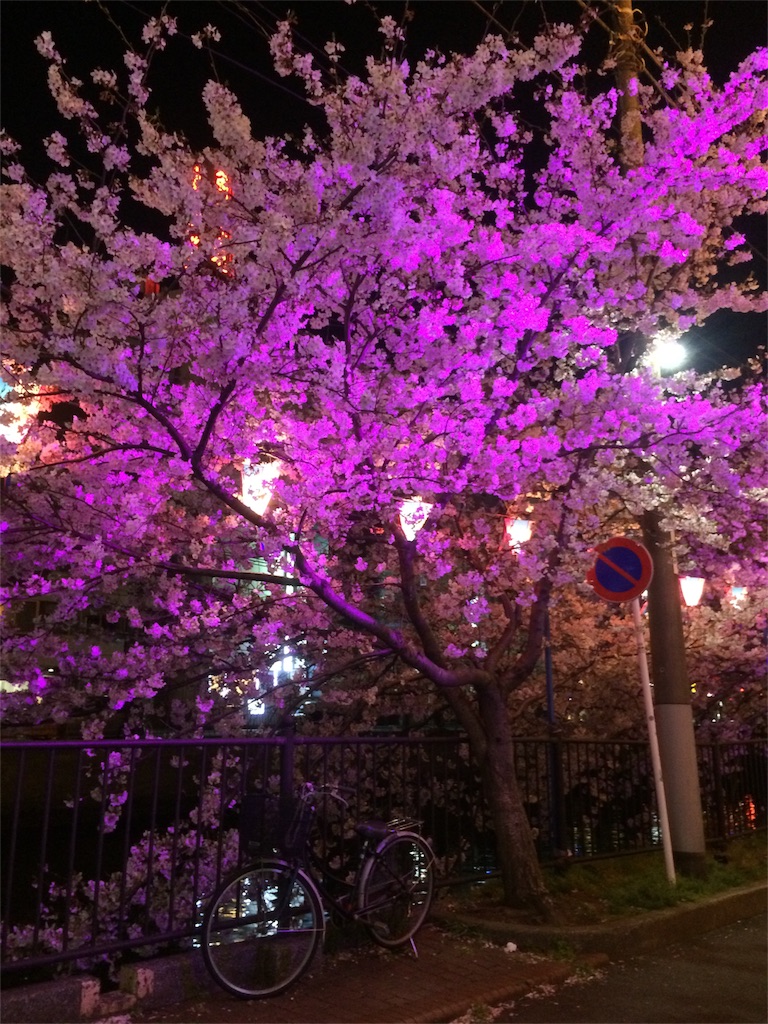 f:id:yumi-ak:20160407040824j:image f:id:yumi-ak:20160407040824j:image
