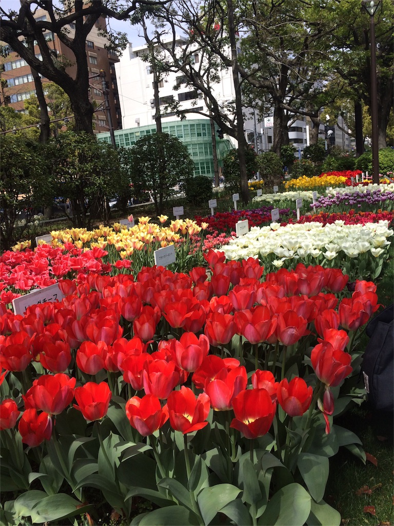 f:id:yumi-ak:20160409194817j:image f:id:yumi-ak:20160409194817j:image