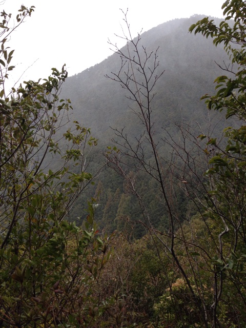 f:id:yumi458:20140321230300j:plain f:id:yumi458:20140321230300j:plain