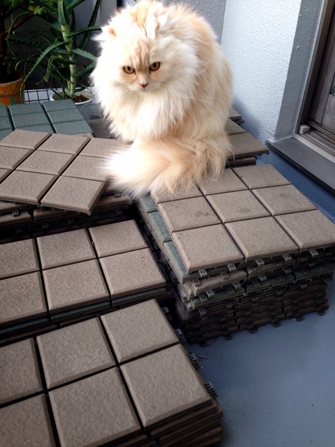 f:id:yumi458:20140331192805j:plain